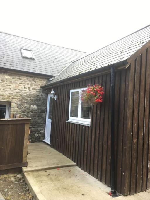 Villa Y Boidy Bach Llangrannog Exterior foto